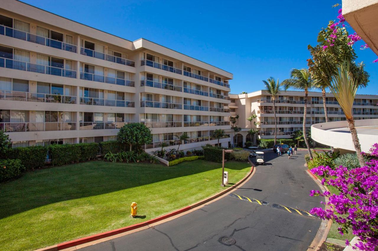 Maui Banyan H311 1Bd 2Ba 3 Min Walk To The Beach In The Heart Of South Kihei! Wailea (Maui) Exterior foto