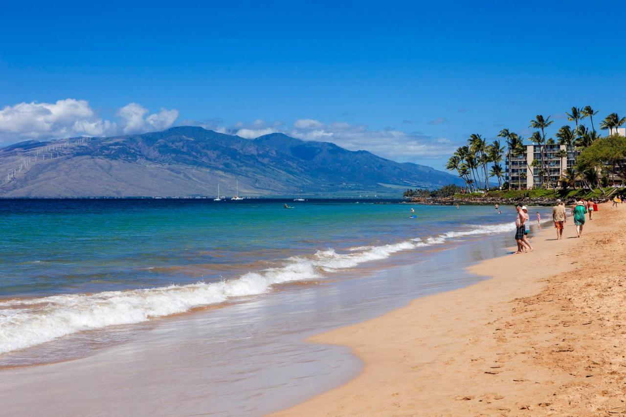 Maui Banyan H311 1Bd 2Ba 3 Min Walk To The Beach In The Heart Of South Kihei! Wailea (Maui) Exterior foto