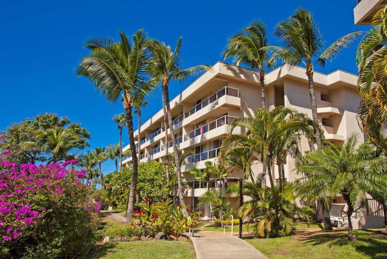 Maui Banyan H311 1Bd 2Ba 3 Min Walk To The Beach In The Heart Of South Kihei! Wailea (Maui) Exterior foto